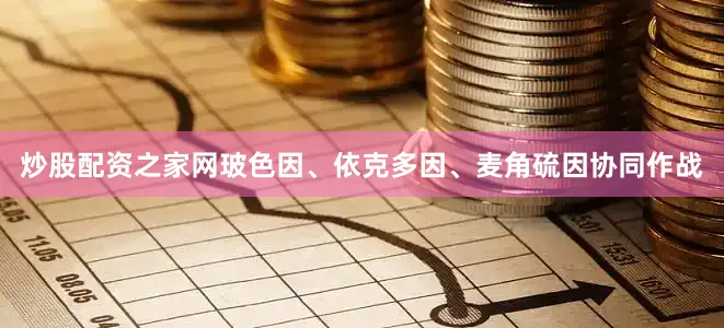 炒股配资之家网玻色因、依克多因、麦角硫因协同作战