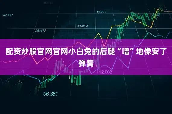 配资炒股官网官网小白兔的后腿“噌”地像安了弹簧