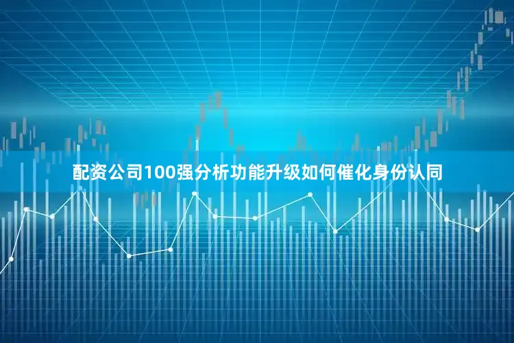 配资公司100强分析功能升级如何催化身份认同